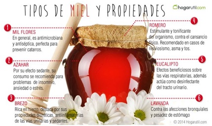 Tipos de miel y sus propiedades. Infografía: Hogarutil.com  
